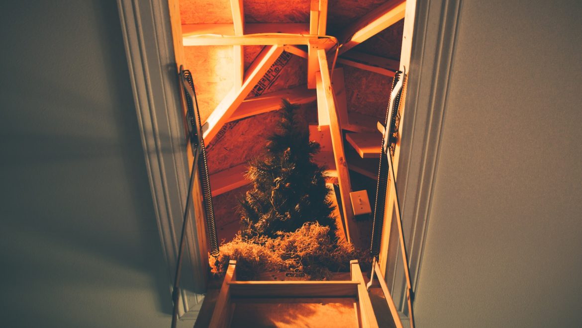 view inside loft before conversion