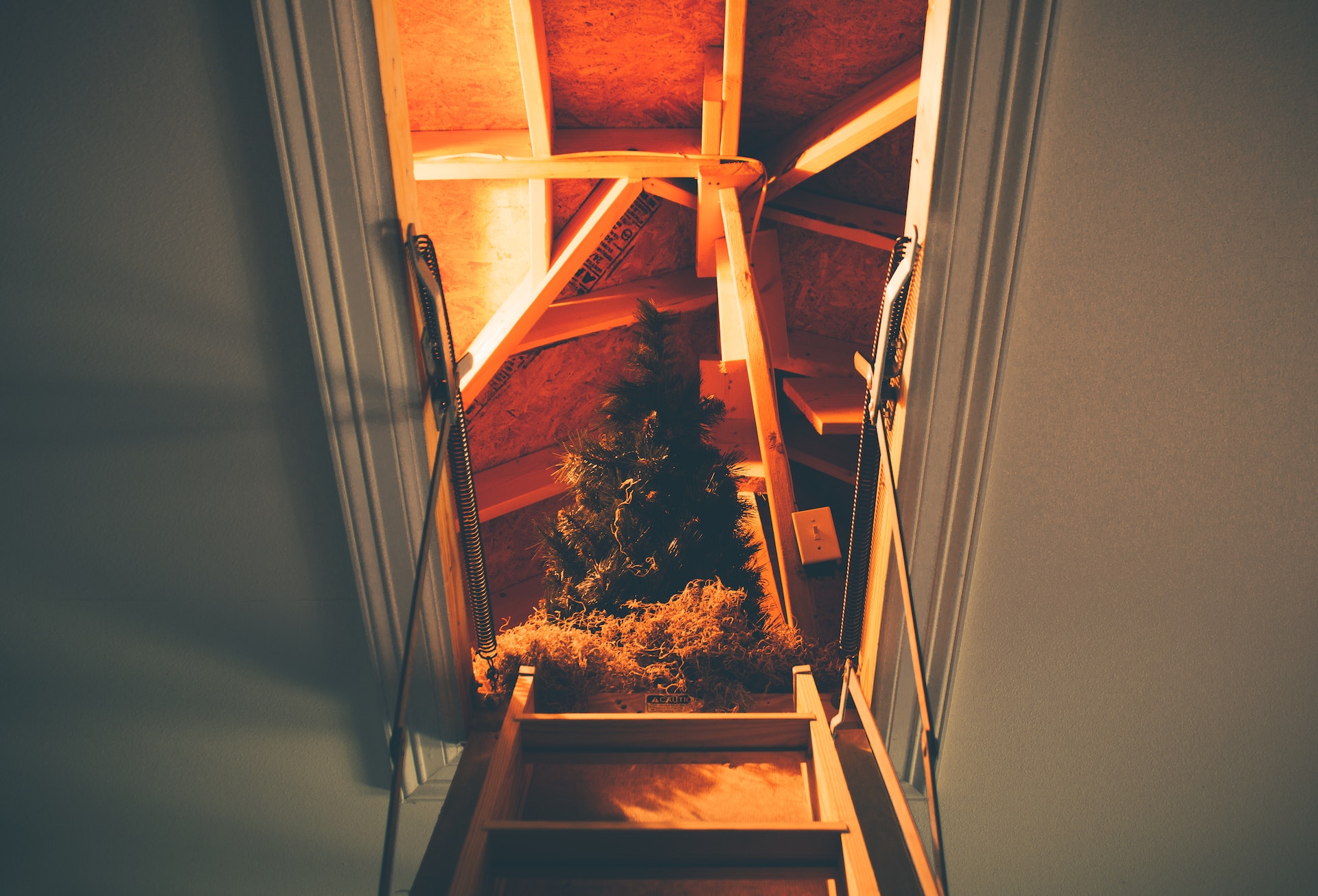 view inside loft before conversion